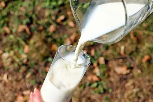 Ольга Бабина: В Коми в 2022 году намерены увеличить объем производства молока на 5%